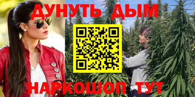 соль ск Дубна