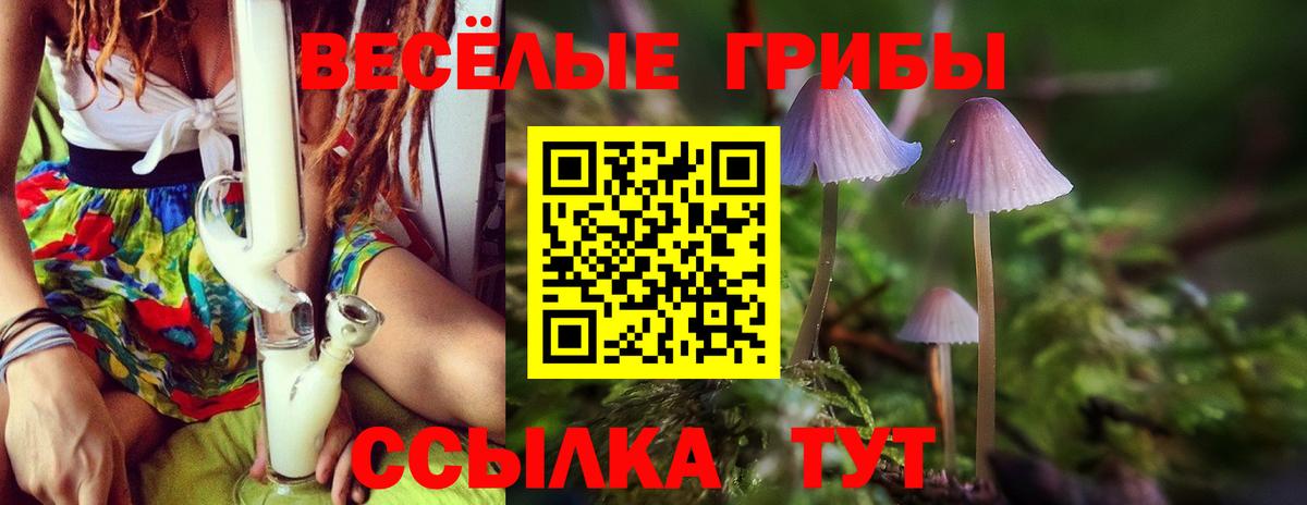 Михайловка  Галлюциногенные грибы ЛСД  Вход с VPN  Галлюциногенные грибы Magic Shrooms 